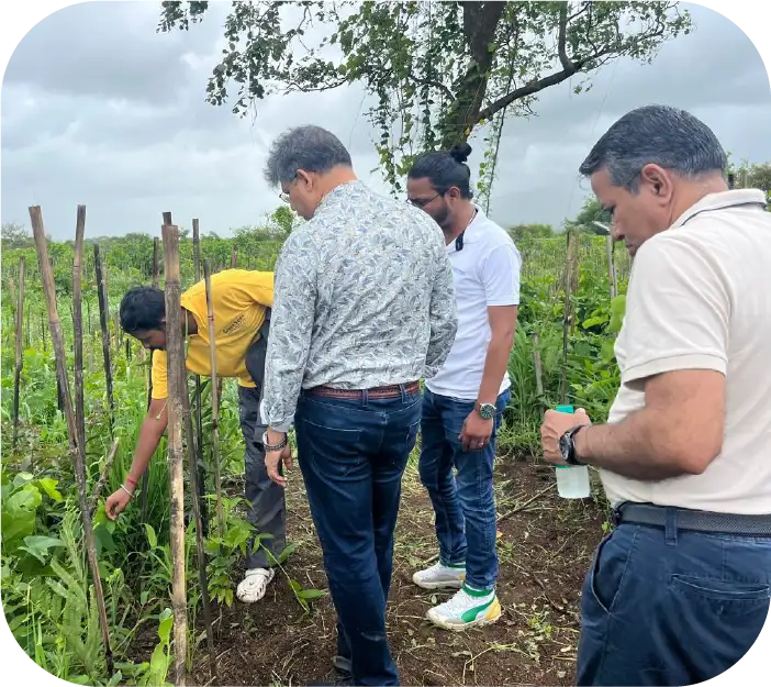 Group posing during tree plantation activity with young plants